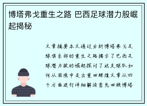 博塔弗戈重生之路 巴西足球潜力股崛起揭秘