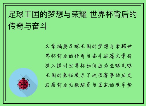 足球王国的梦想与荣耀 世界杯背后的传奇与奋斗