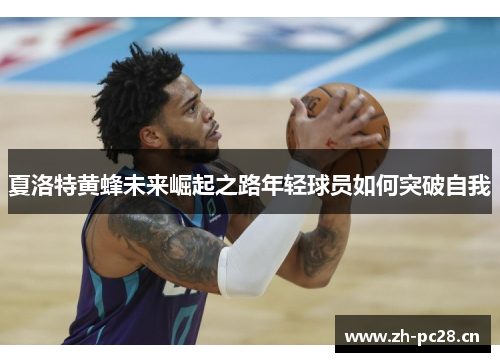 夏洛特黄蜂未来崛起之路年轻球员如何突破自我