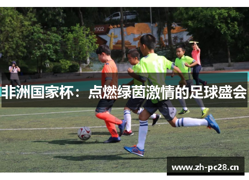 非洲国家杯：点燃绿茵激情的足球盛会